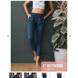 Zyia Navy Blue Everywhere Pants